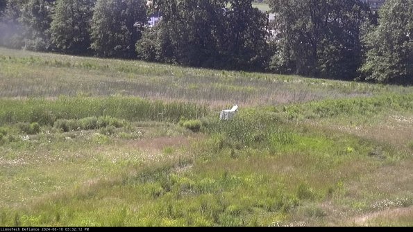 Cell 2 to 3_24-06-10_15-32-12-50