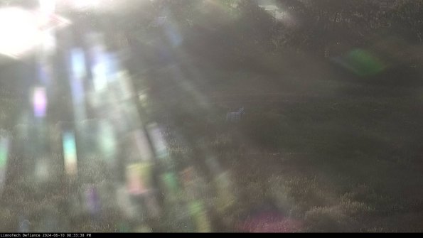 Cell 2 to 3_24-06-10_20-33-39-38