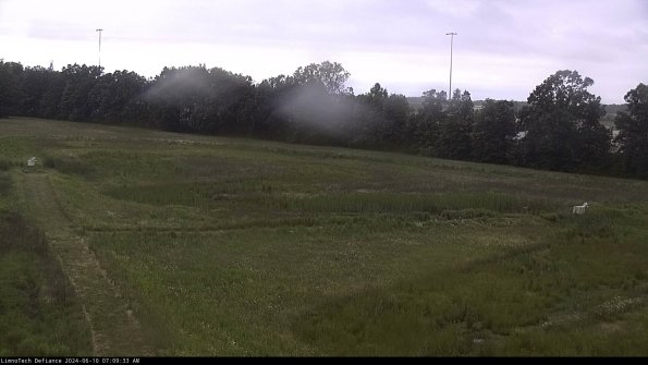 Cell 2_24-06-10_07-09-34-36