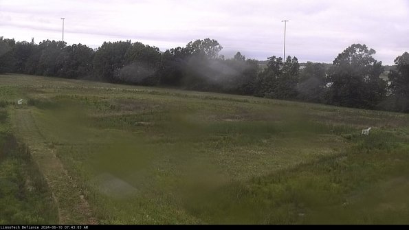 Cell 2_24-06-10_07-43-04-38