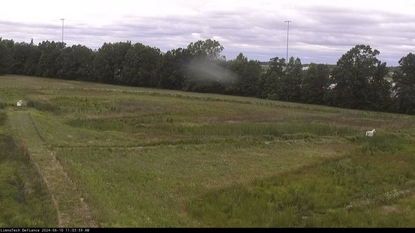 Cell 2_24-06-10_11-04-00-36