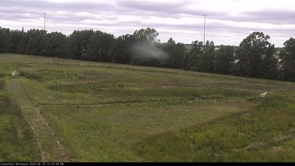 Cell 2_24-06-10_12-10-59-36