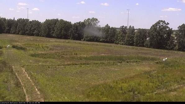 Cell 2_24-06-10_14-25-01-35