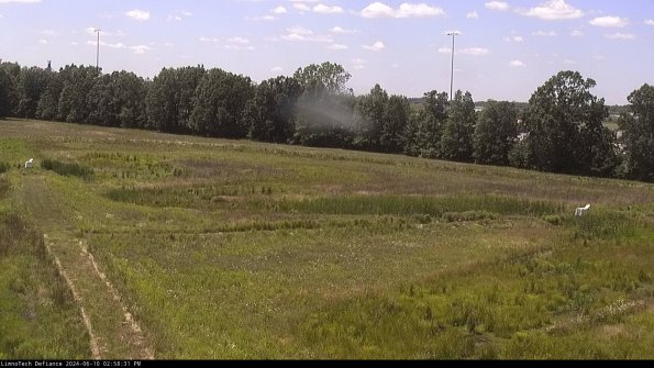 Cell 2_24-06-10_14-58-32-37