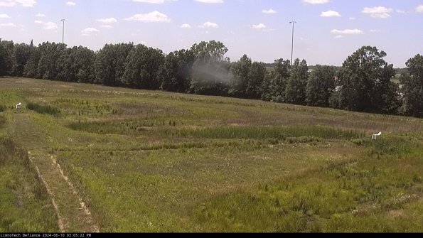 Cell 2_24-06-10_15-05-23-35