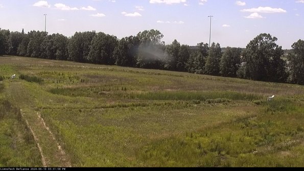 Cell 2_24-06-10_15-31-59-38