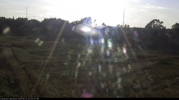 Cell 2_24-06-10_19-59-56-35