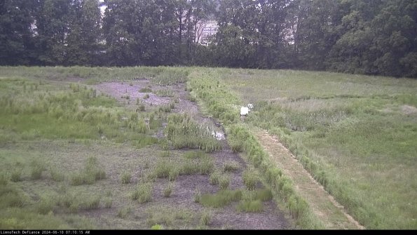 Cell 3 to 4_24-06-10_07-10-16-31