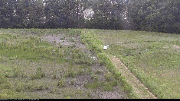 Cell 3 to 4_24-06-10_10-31-12-31