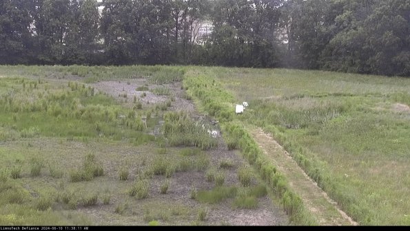 Cell 3 to 4_24-06-10_11-38-12-32