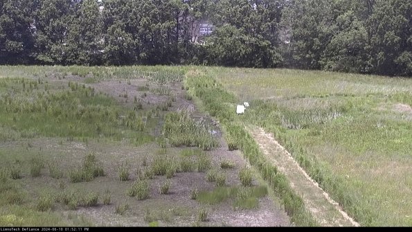 Cell 3 to 4_24-06-10_13-52-12-33