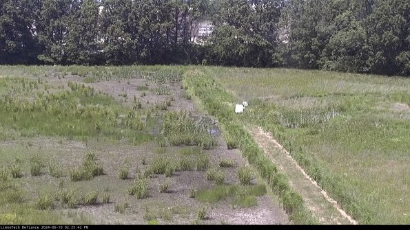 Cell 3 to 4_24-06-10_14-25-43-35