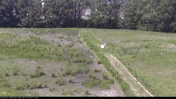 Cell 3 to 4_24-06-10_14-59-13-34