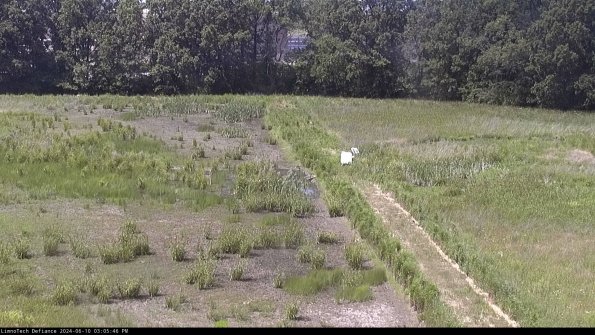 Cell 3 to 4_24-06-10_15-05-47-37