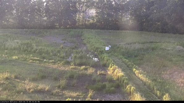 Cell 3 to 4_24-06-10_20-34-07-34