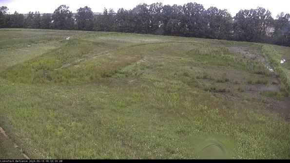 Cell 3_24-06-10_08-50-30-58