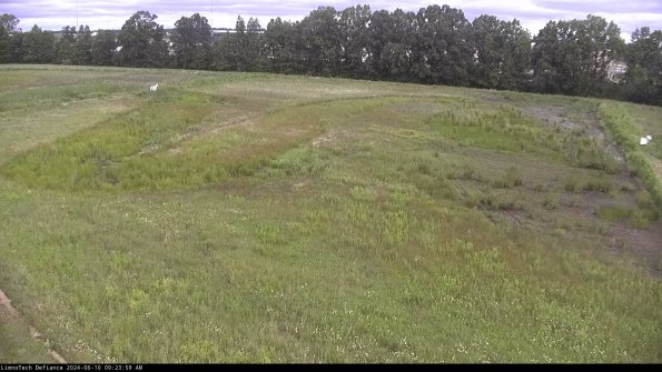 Cell 3_24-06-10_09-24-00-33