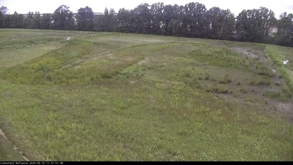 Cell 3_24-06-10_11-37-58-34