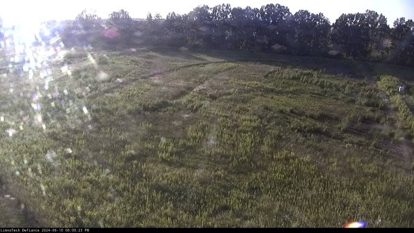 Cell 3_24-06-10_20-00-24-34