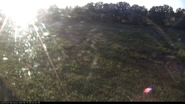 Cell 3_24-06-10_20-33-53-56