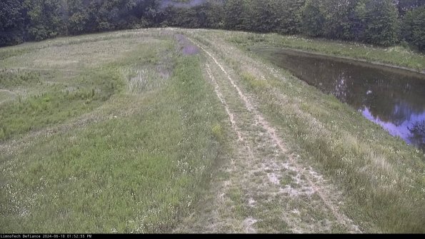 Cell 4 to Basin_24-06-10_13-52-56-31