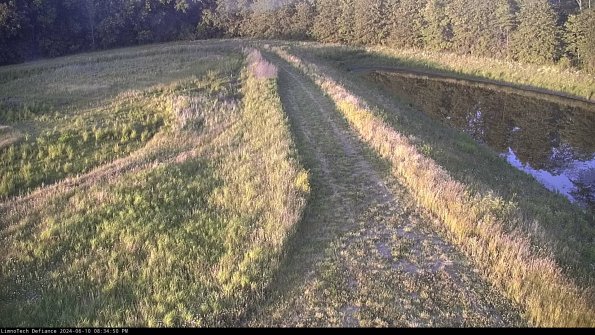 Cell 4 to Basin_24-06-10_20-34-51-36