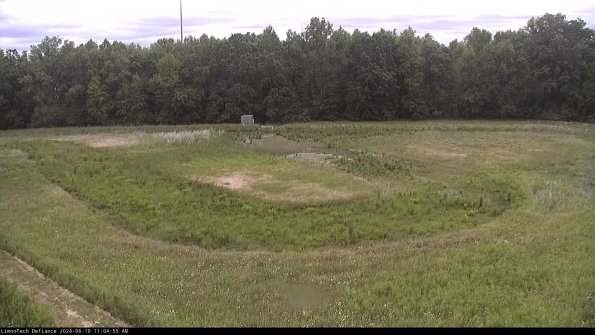 Cell 4_24-06-10_11-04-56-31