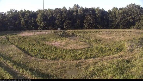 Cell 4_24-06-10_20-00-52-34