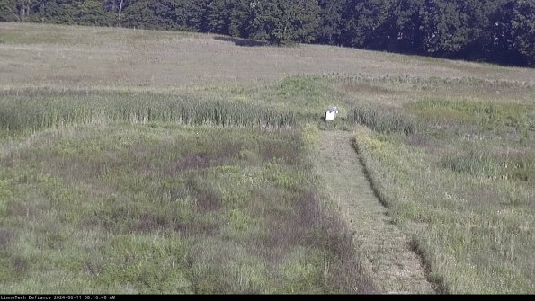 Cell 1 to 2_24-06-11_08-16-41-33