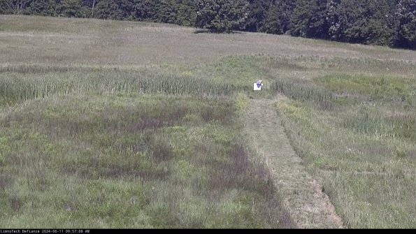 Cell 1 to 2_24-06-11_09-57-09-33