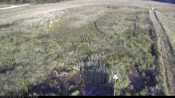 Cell 1_24-06-11_07-09-29-35