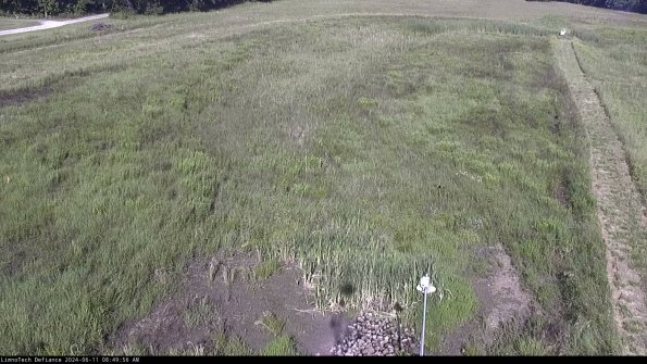 Cell 1_24-06-11_08-49-57-34