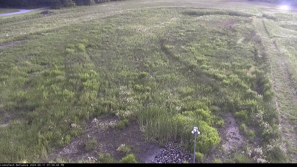 Cell 1_24-06-11_19-59-45-34