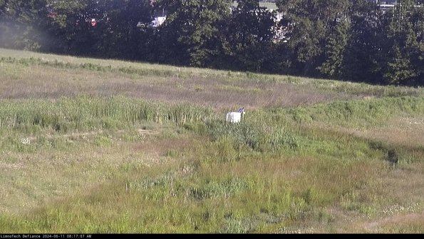 Cell 2 to 3_24-06-11_08-17-07-53