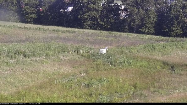 Cell 2 to 3_24-06-11_08-50-37-42