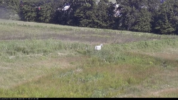 Cell 2 to 3_24-06-11_09-57-35-49