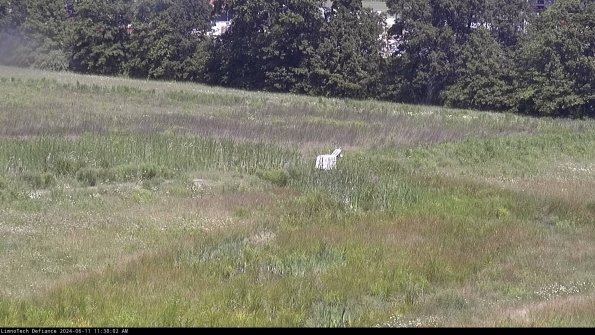 Cell 2 to 3_24-06-11_11-38-03-41