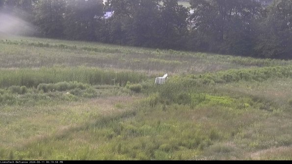 Cell 2 to 3_24-06-11_18-19-56-52