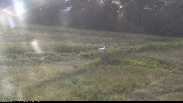 Cell 2 to 3_24-06-11_20-00-25-38