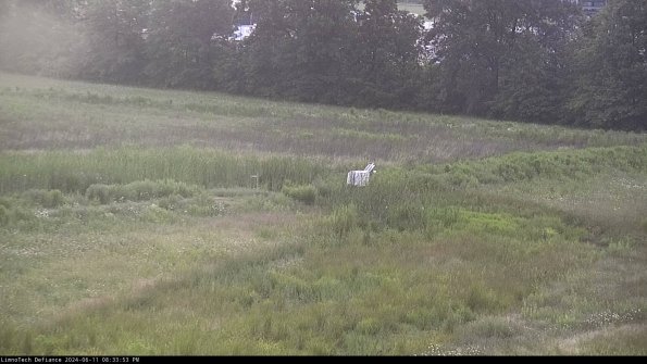 Cell 2 to 3_24-06-11_20-33-53-53