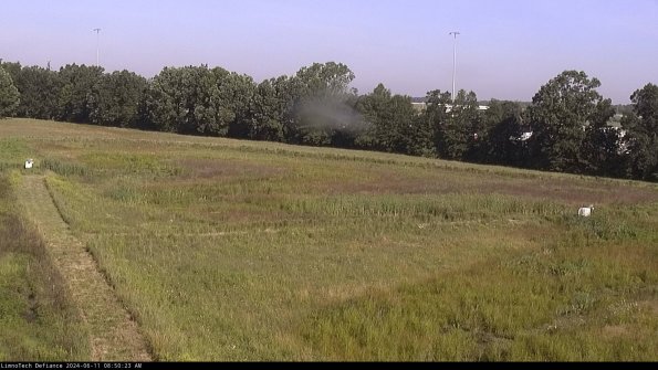 Cell 2_24-06-11_08-50-24-37