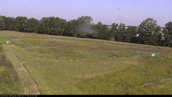 Cell 2_24-06-11_09-57-22-34