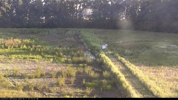 Cell 3 to 4_24-06-11_07-10-38-32