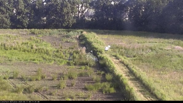 Cell 3 to 4_24-06-11_08-17-36-32