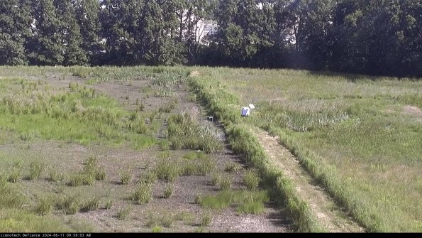 Cell 3 to 4_24-06-11_09-58-04-35