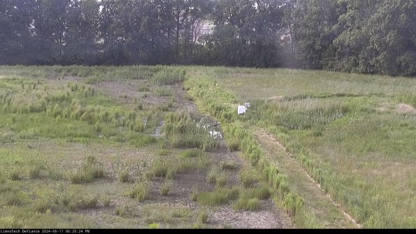 Cell 3 to 4_24-06-11_18-20-25-31