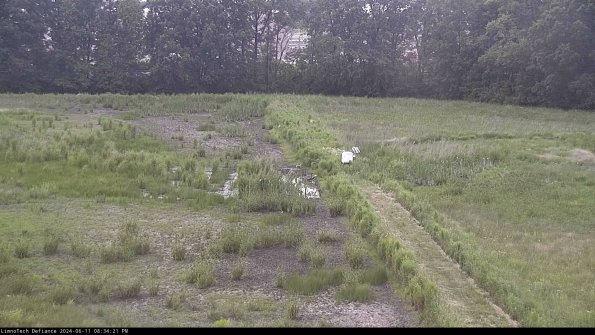 Cell 3 to 4_24-06-11_20-34-22-33