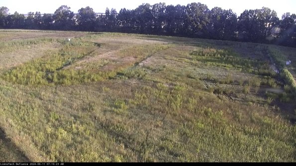 Cell 3_24-06-11_07-10-24-34