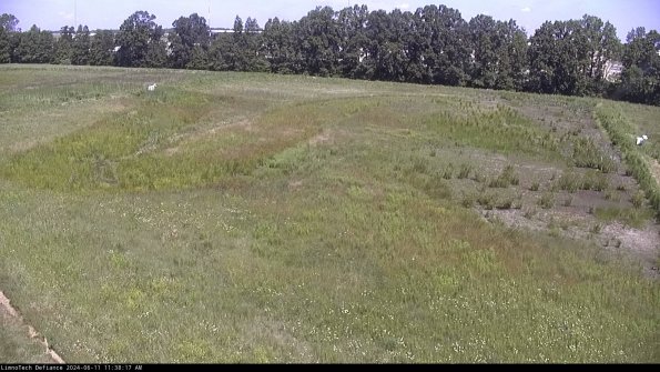 Cell 3_24-06-11_11-38-17-56