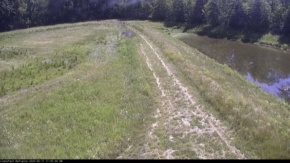 Cell 4 to Basin_24-06-11_11-05-47-33